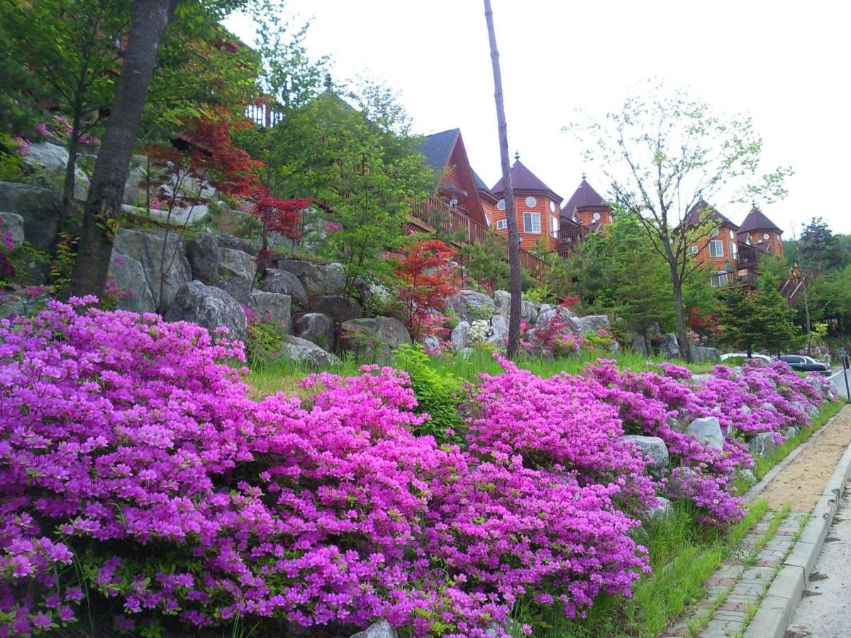 Elf Resort Hotel 平昌郡 エクステリア 写真