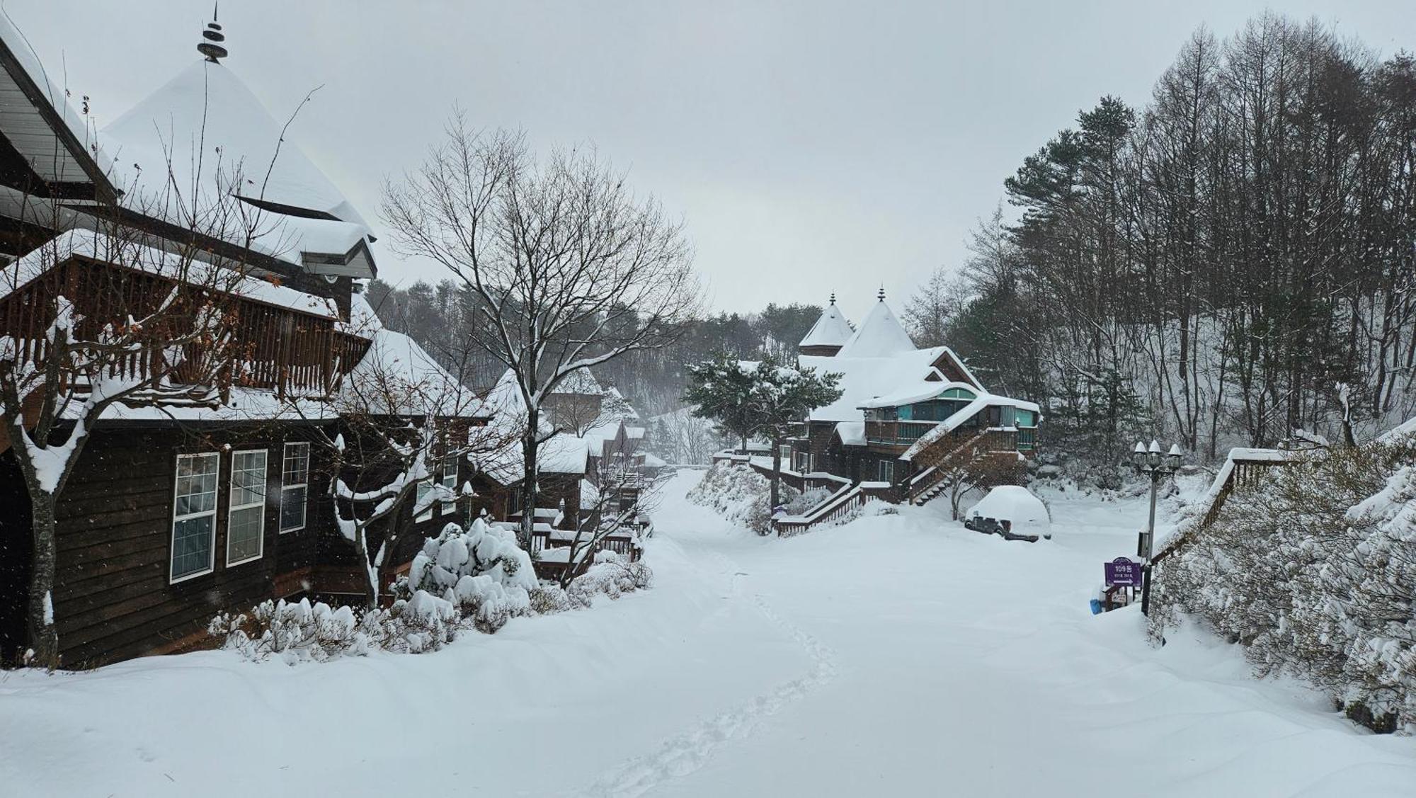 Elf Resort Hotel 平昌郡 エクステリア 写真