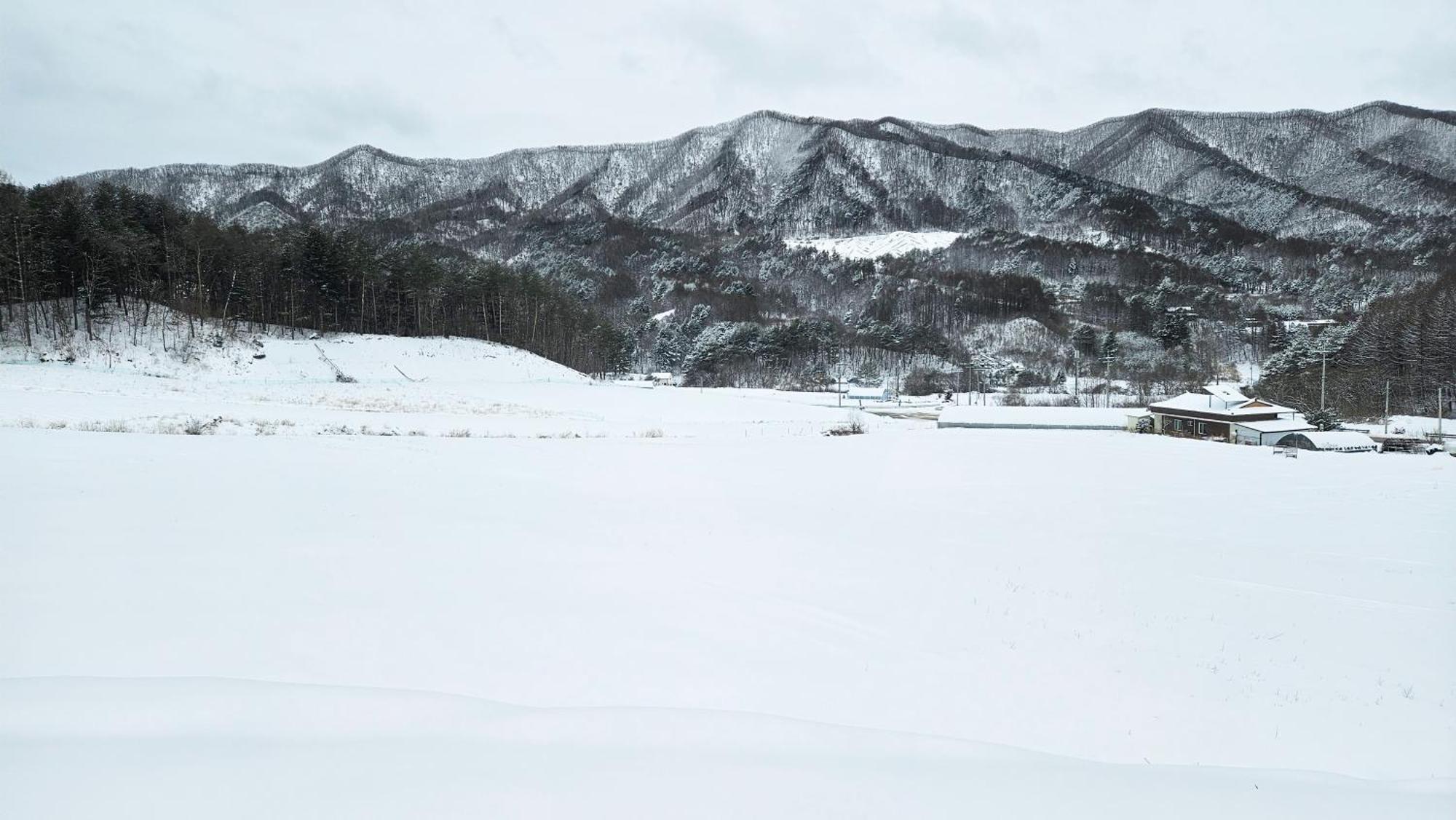 Elf Resort Hotel 平昌郡 エクステリア 写真