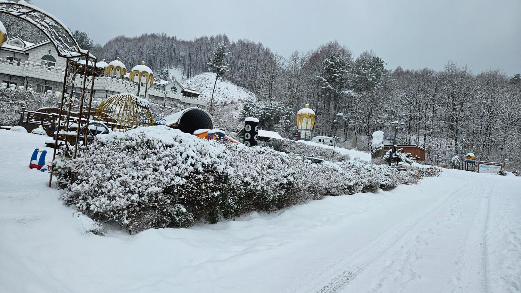 Elf Resort Hotel 平昌郡 エクステリア 写真